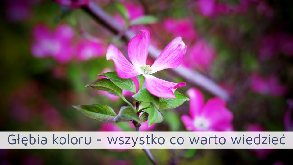 Głębia koloru – wszystko co warto wiedzieć