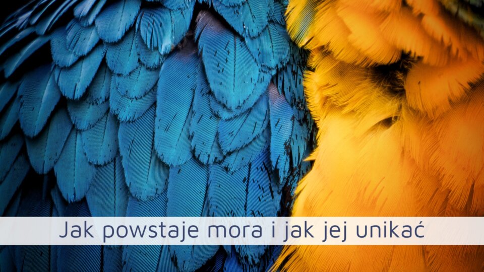Jak powstaje mora i jak jej unikać