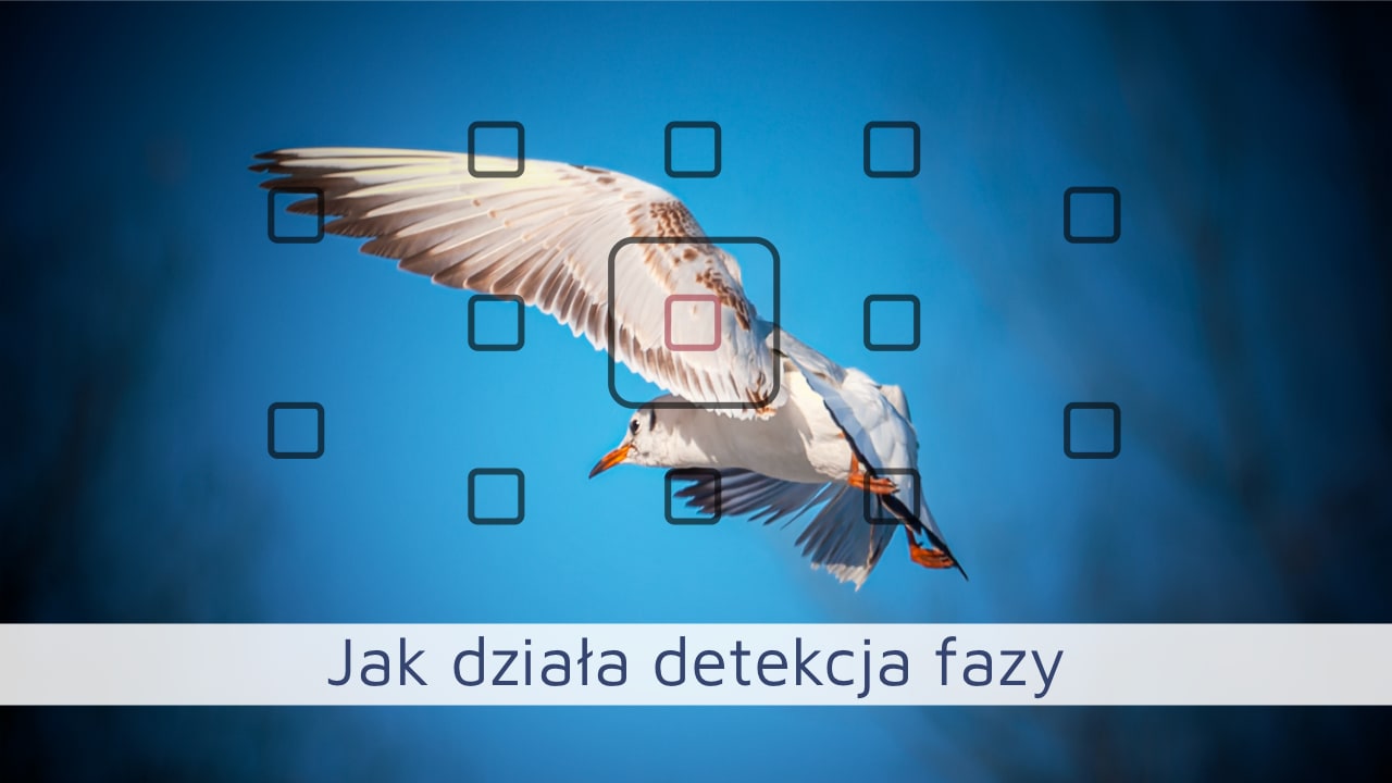 Detekcja fazy