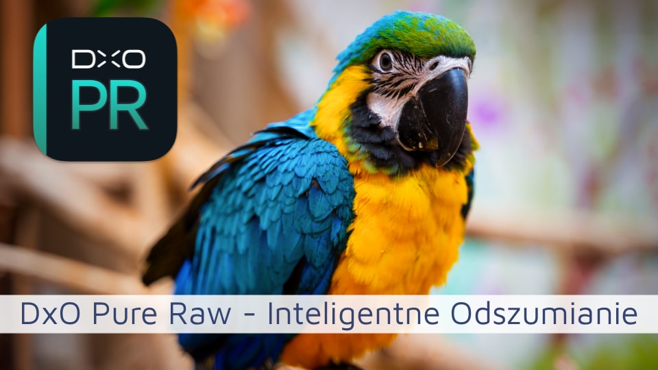 DxO PureRAW – czy warto zainwestować w odszumianie?