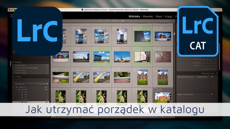 Jak utrzymać porządek w katalogu