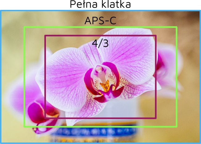 porownanie-ogniskowych