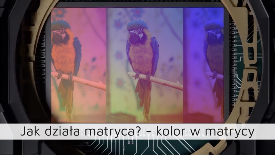 Jak działa matryca? – kolor w matrycy