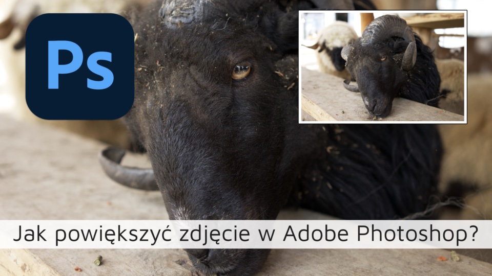 Jak powiększyć zdjęcie w Adobe Photoshop?