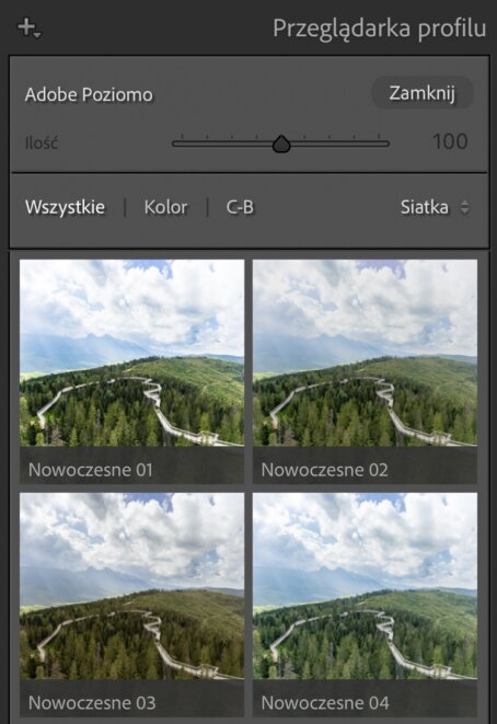 przegladarka-profilu