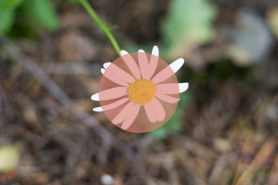 pomiar-centralnie-wazony