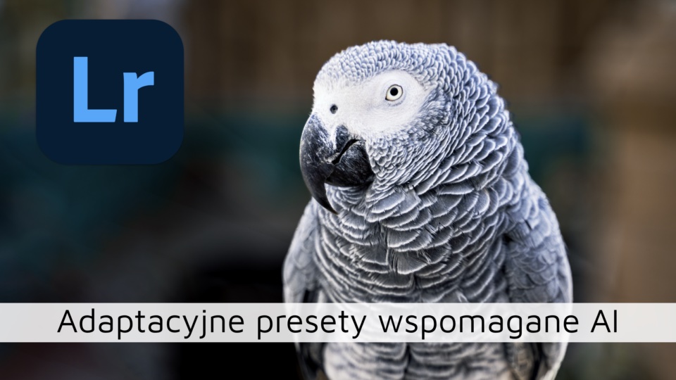 Adaptacyjne presety wspomagane AI