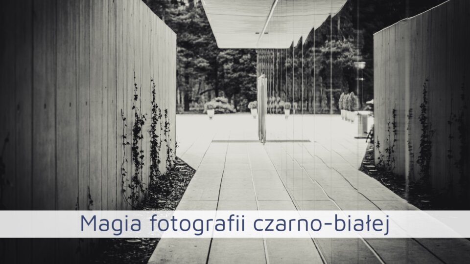 Magia fotografii czarno-białej