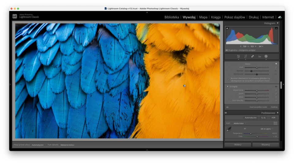 Usuwanie-mory-maskowanie