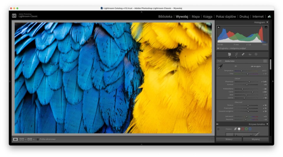 Usuwanie-mory-obecnosc