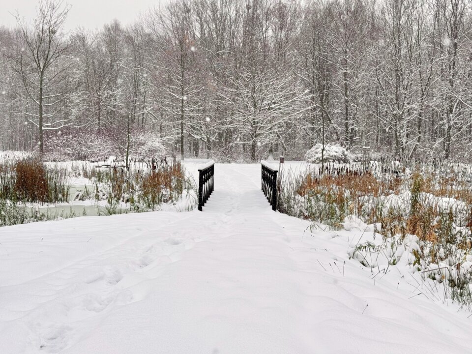 iPhone15AparatGlowny