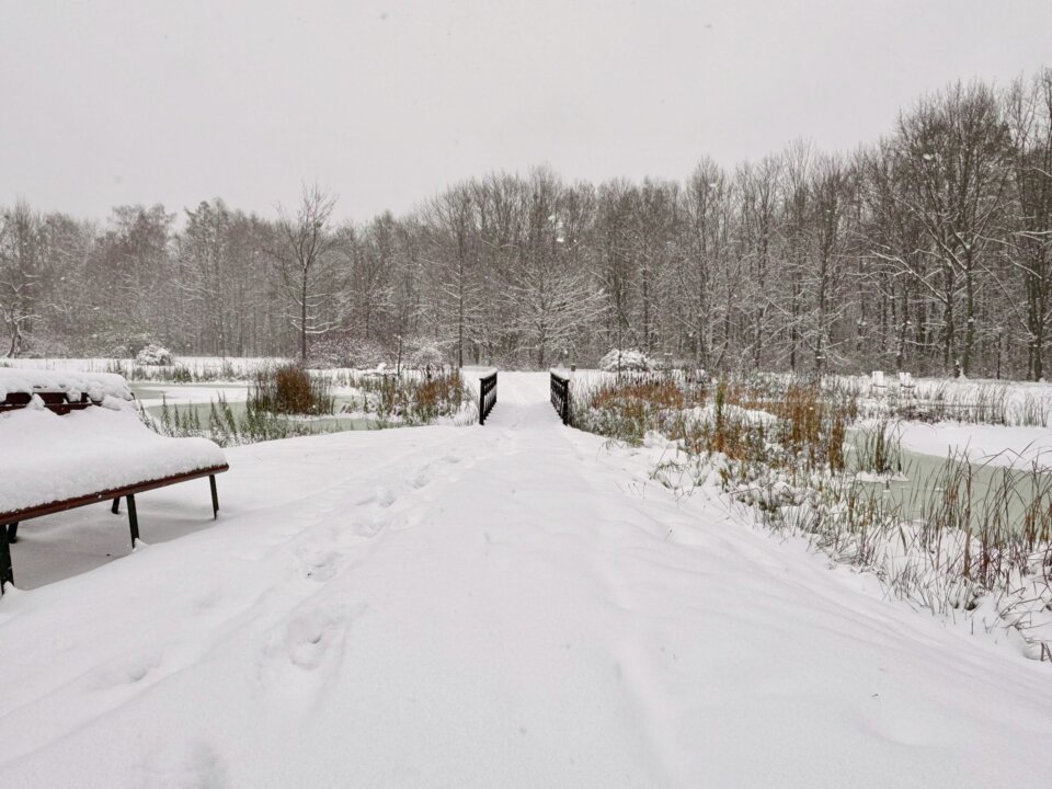 iPhone15AparatUltraSzeroki