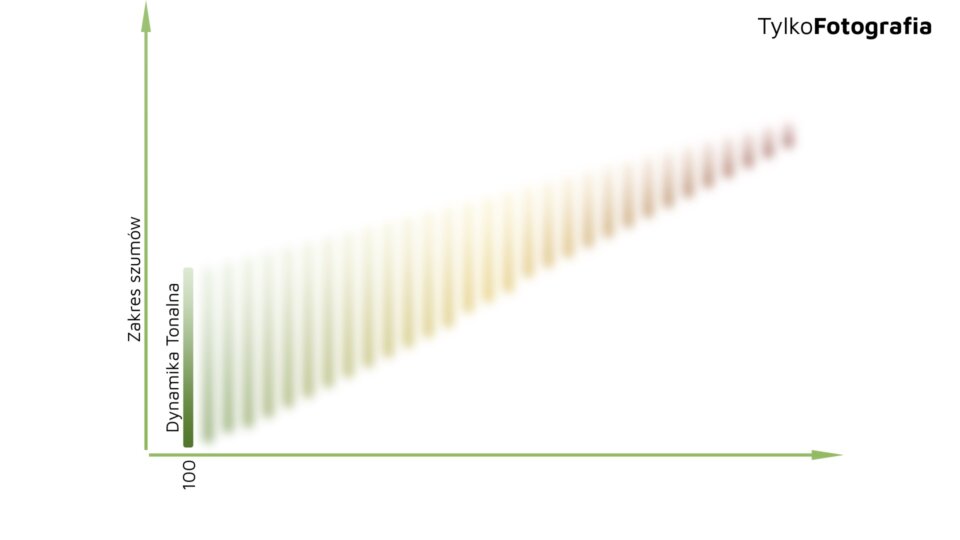 iso-dynamika-tonalnajpg
