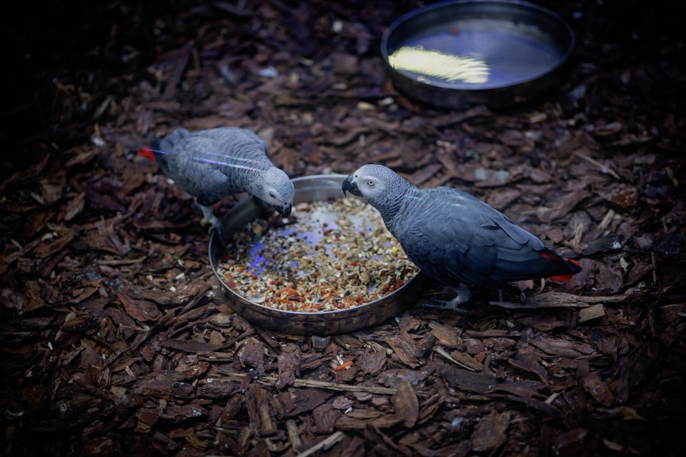 zdjecie-przykladowe-2